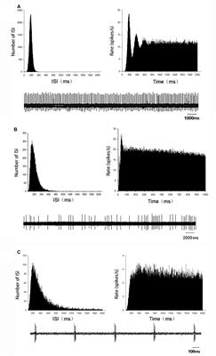 Endogenous HCN Channels Modulate the Firing Activity of Globus Pallidus Neurons in Parkinsonian Animals